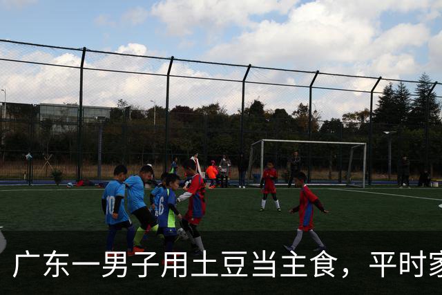 广东一男子用土豆当主食，平时家常菜也照常吃，半年瘦了25斤，脂肪肝没了，血压、血糖也稳了；网友：这可能是性价比最高的减肥法